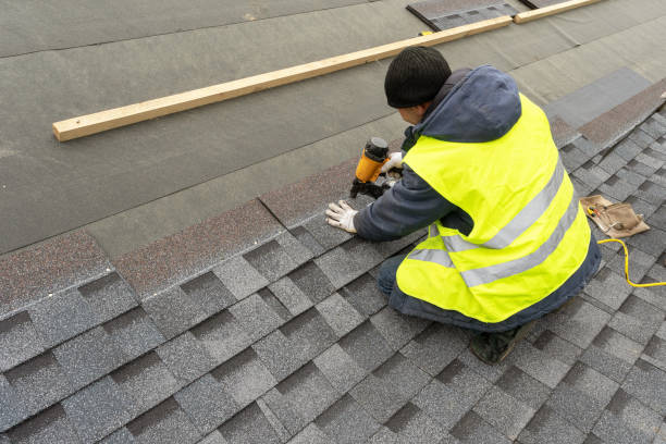 Best Roof Maintenance Services  in Brigham City, UT