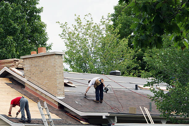 Best Roof Maintenance Services  in Brigham City, UT